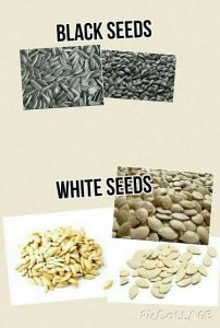 seeds for blog